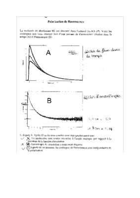 polarisation d_une molecule par un ion Book