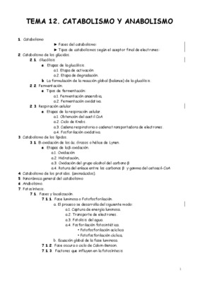 anabolismo Book