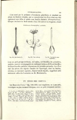 croton Book
