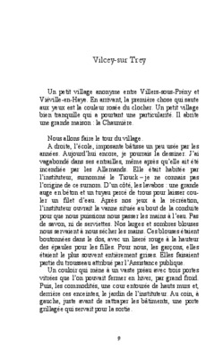 vilcey Book