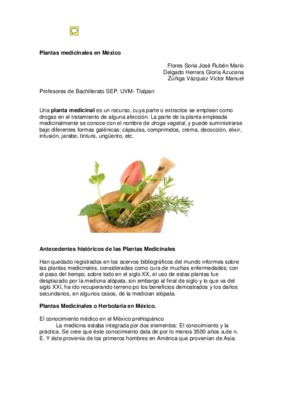 enciclopedia plantas mexico Book
