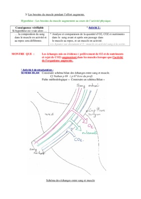 svt 5eme fonctionnement d un muscle Book