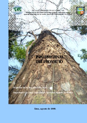proyecto final ascensor Book