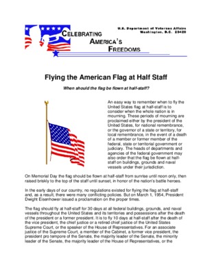 american staff Book