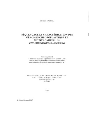 chloroplastique Book