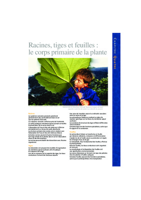 coupe longitudinale des racines feuilles tiges des monocotyledones et dicotyledones Book