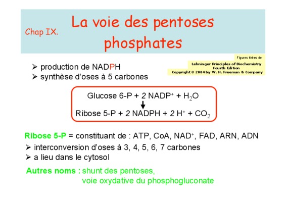 la voie des pentoses Book