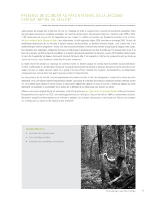 couguar Book