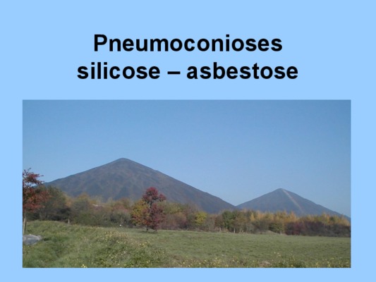 silicose Book
