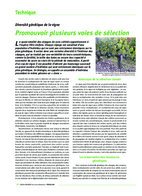 la complantation et la vigne Book