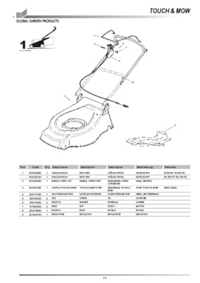 test ssis spagnolo Book