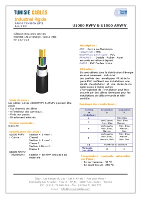 cables rvfv arvfv Book