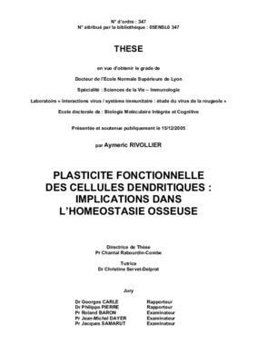 dendritiques Book