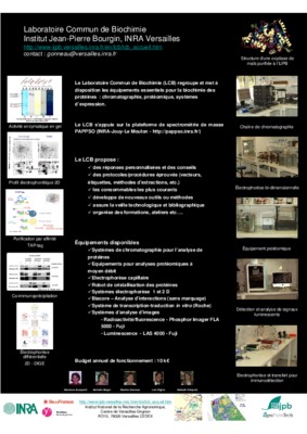 exercice purification enzymatique Book