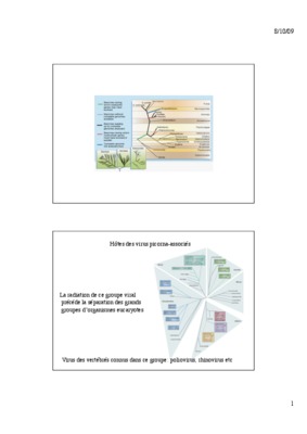 picorna Book