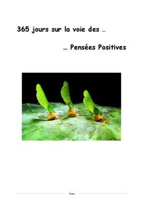 mini dictionnaire des pensees positives mini dictionnaire des pensees positives Book