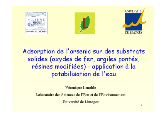 adsorption sur les oxydes de fer Book
