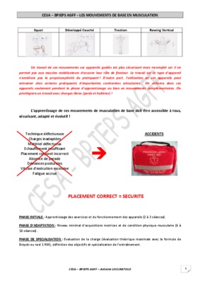 pincements Book