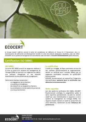 iso dis 50001 Book