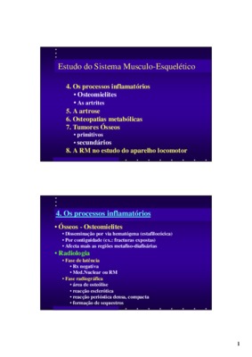 sistema esqueletico Book