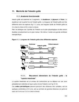 anatomie du duodenum Book
