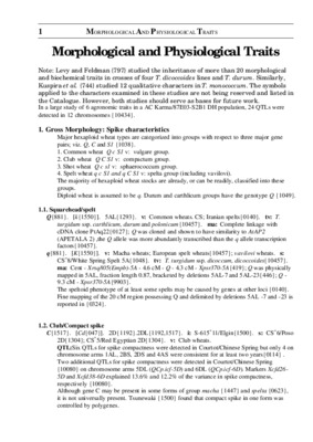 morphological awareness Book