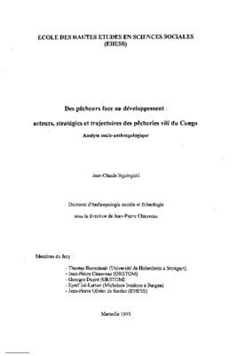 strategies des acteurs face a la mndialisation Book