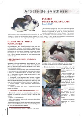 shema anatomie lapin Book