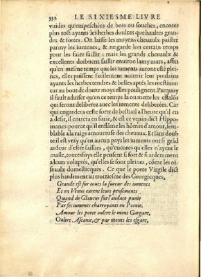 grandes fouches Book