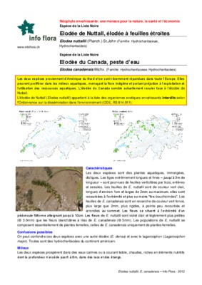elodee et dioxygene Book