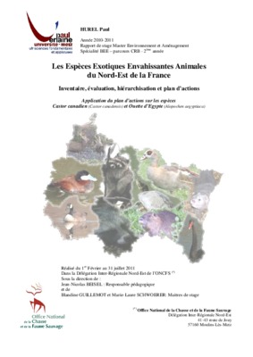 memoire master amenagement urbaine Book