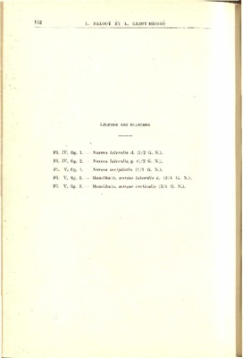 lateralis Book