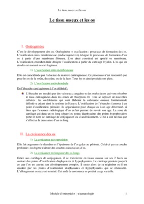 tissu osseux staps Book