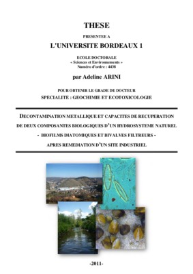 extraction des chelates metallique Book