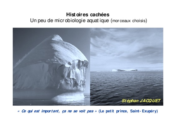 histoires cachees Book