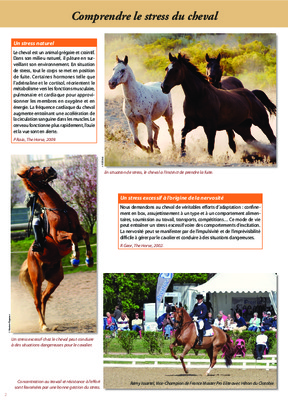 stress cheval Book