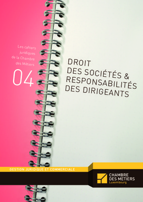 les cahiers juridiques plan amenagement d_ensemble Book