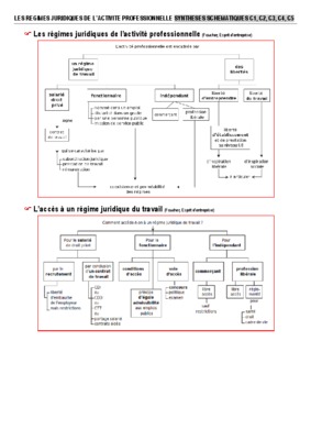 les regimes juridiques de l_activite professionnelle Book