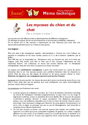 peau rouge Book