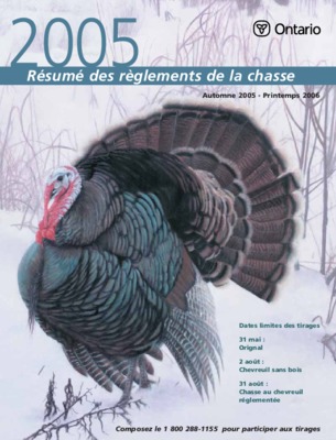 resume 2005 Book