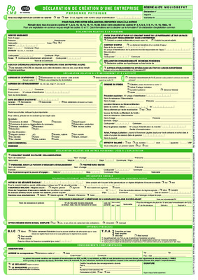 declaration igr personne physique Book