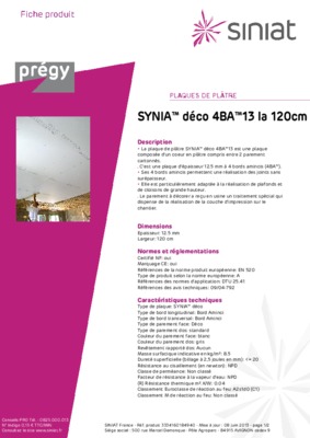synia deco Book