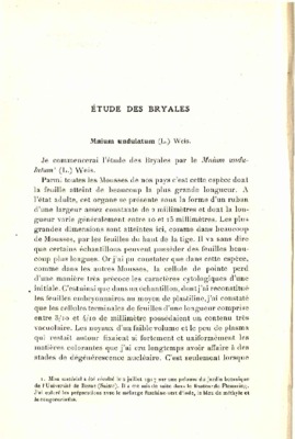 undulatum Book