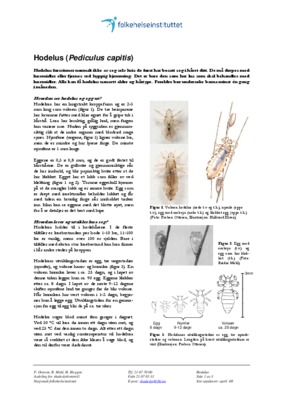 pediculus Book