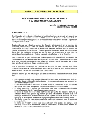 flores meyer Book