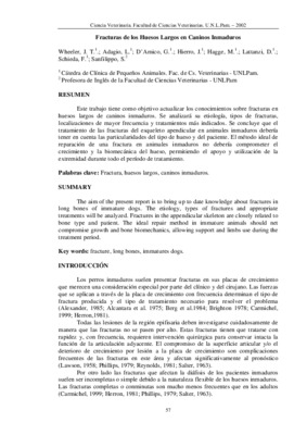 los huesos Book