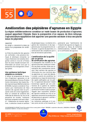 amelioration des agrumes Book