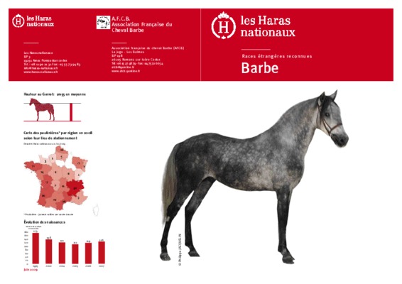 cheval barbe Book