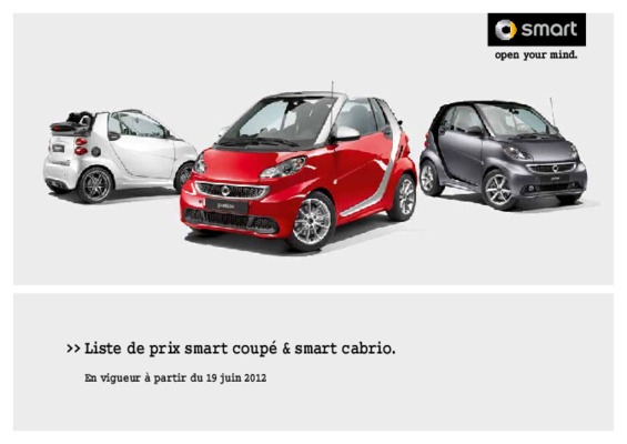 smart cabrio 450 Book