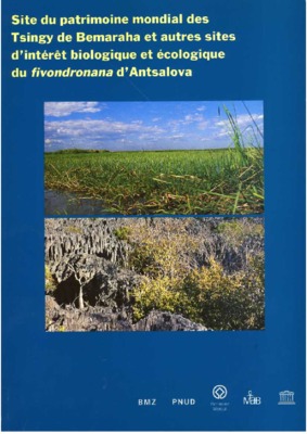 tsingy du bemaraha Book